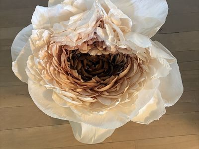 Handmade Oversized Crepe Paper Flower Wall Decor - Beige/Brown Ombre -