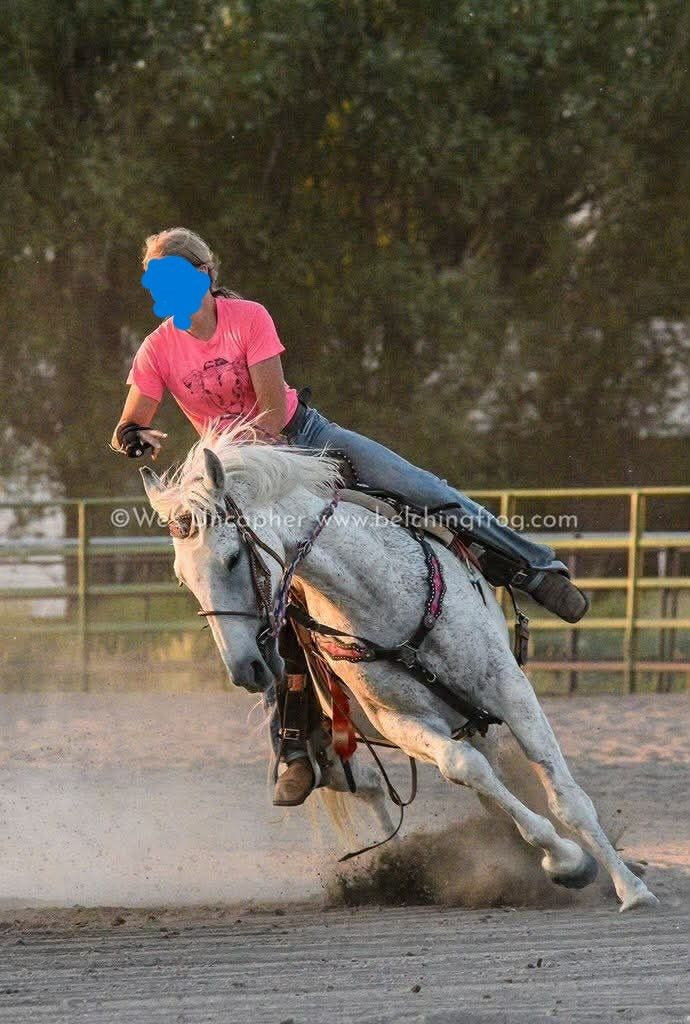 8 year old mare