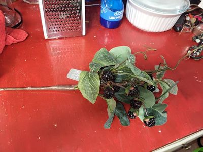 RAZ Imports Artificial Blackberry Stem - Faux Greenery & Berries Decor, New with Tags