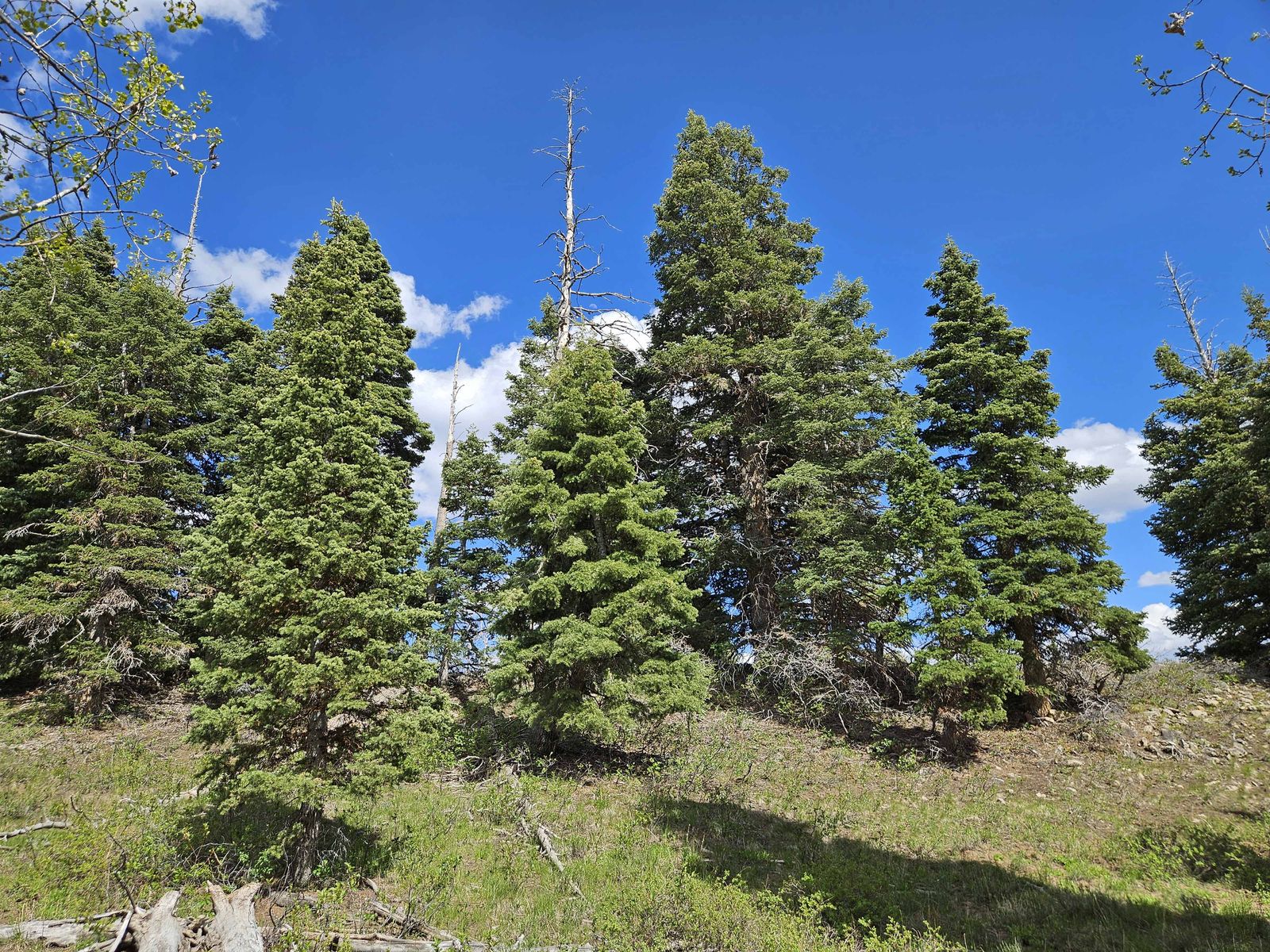 Main image 4