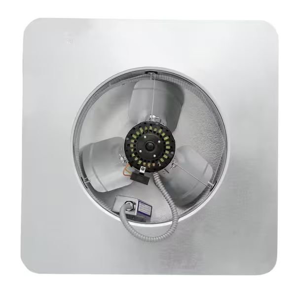 Main image 6