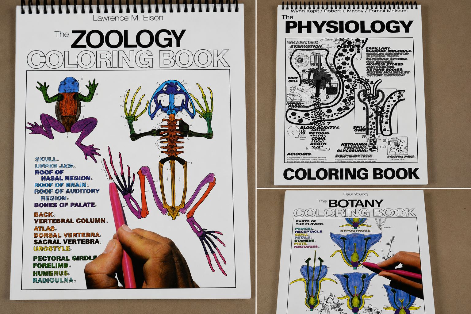Science Coloring Book Lot – Zoology, Physiology & Botany – College Biology Study Guides