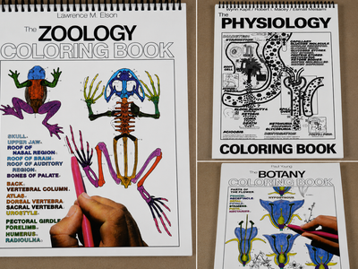 Science Coloring Book Lot – Zoology, Physiology & Botany – College Biology Study Guides