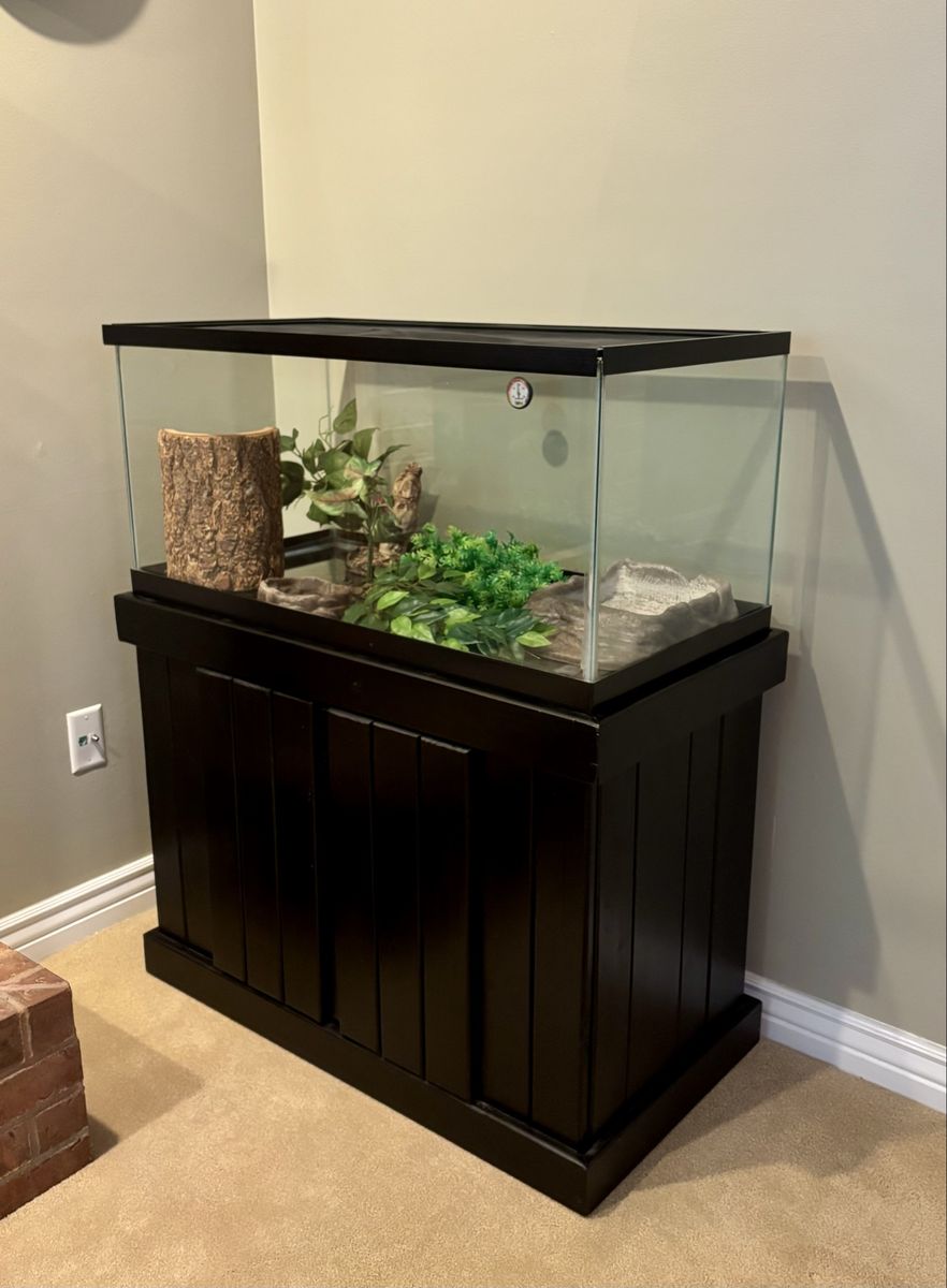 Reptile Terrarium with Black Stand