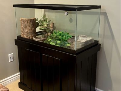 Reptile Terrarium with Black Stand