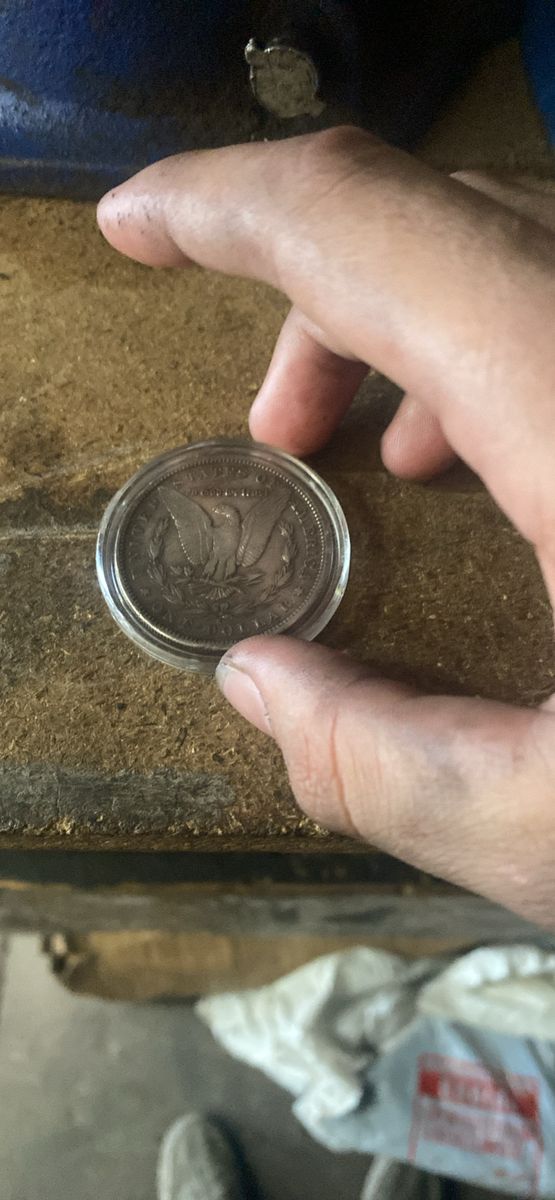 Coin 
