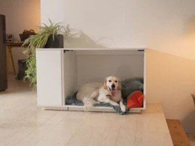 Omelet Nook 24 Milo/Fido