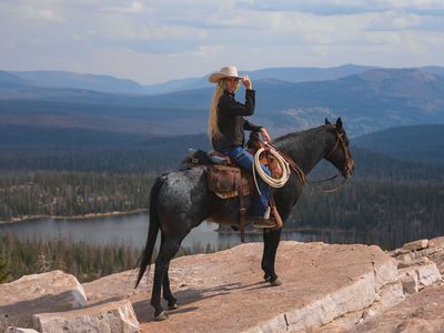 10 yr old blue roan mare