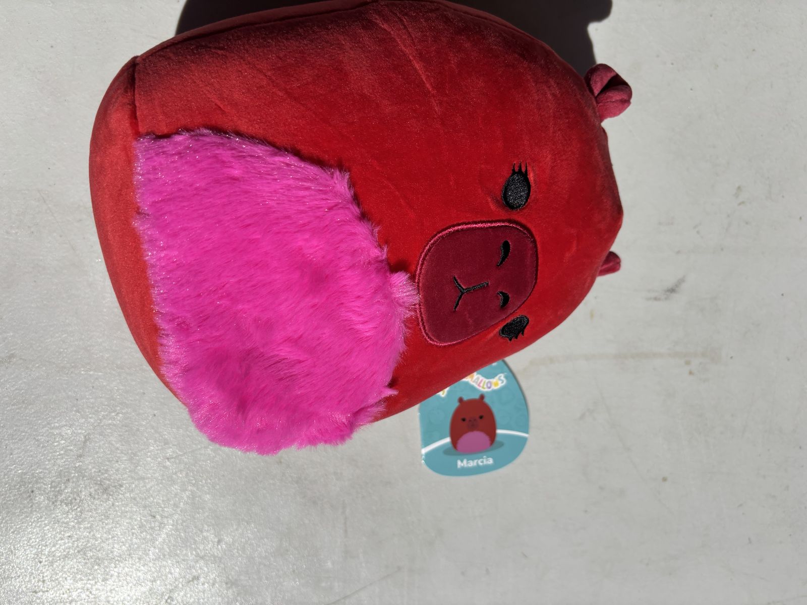Marcia capybara squishmallow