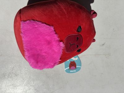 Marcia capybara squishmallow