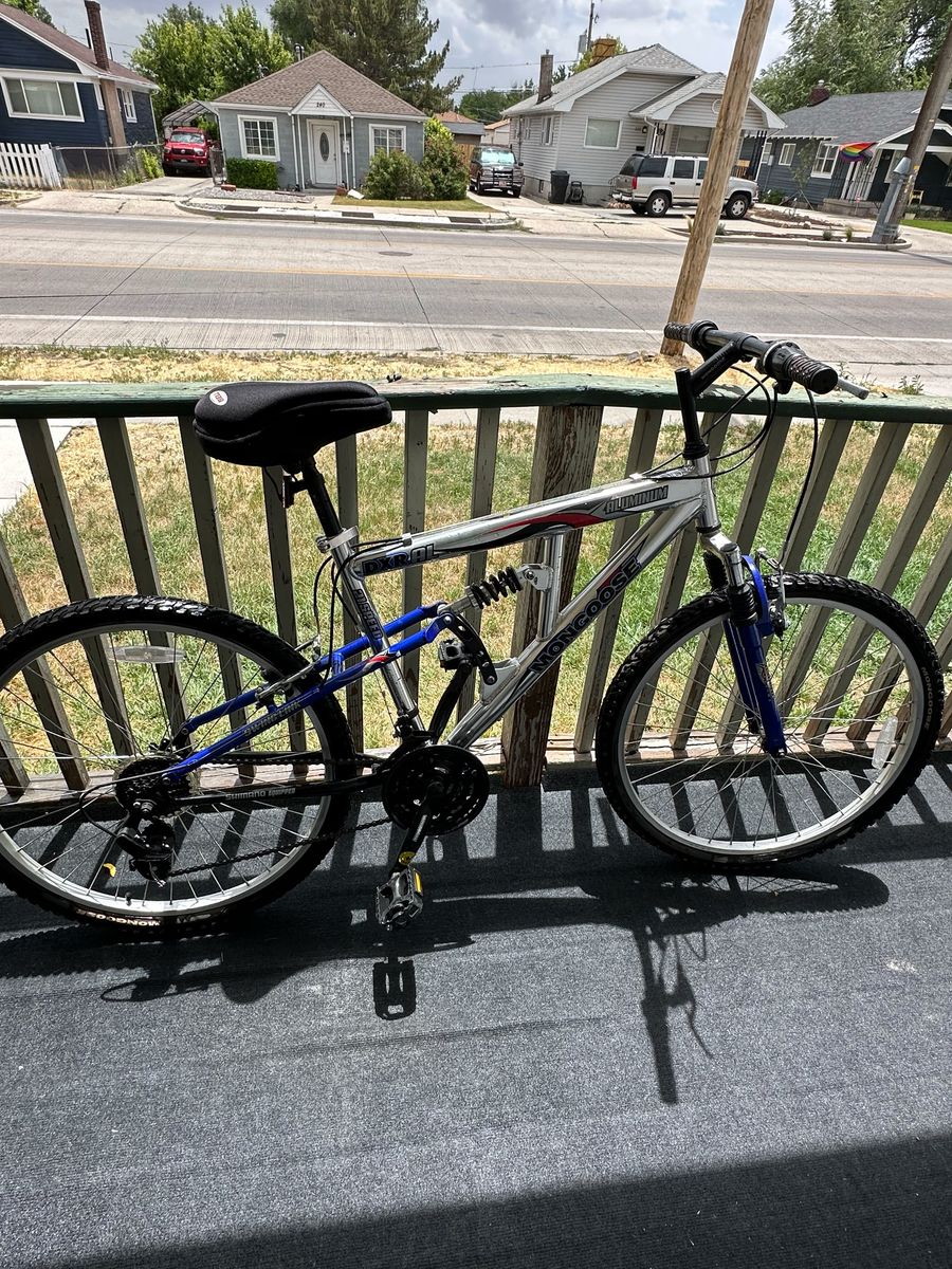 Momgoose Bicycle