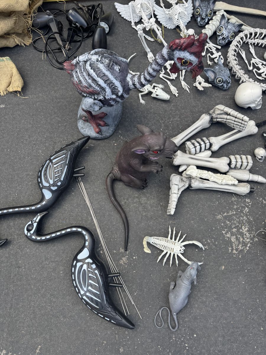 Halloween Bundle of lots of stuff for Outdoors! So much!