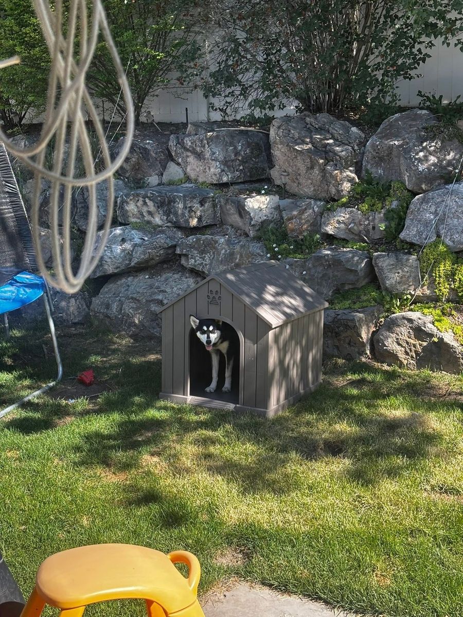 Main image 5