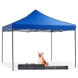 edx 10x10 Pop Up Canopy Tent with Sand Bags