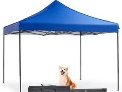 edx 10x10 Pop Up Canopy Tent with Sand Bags