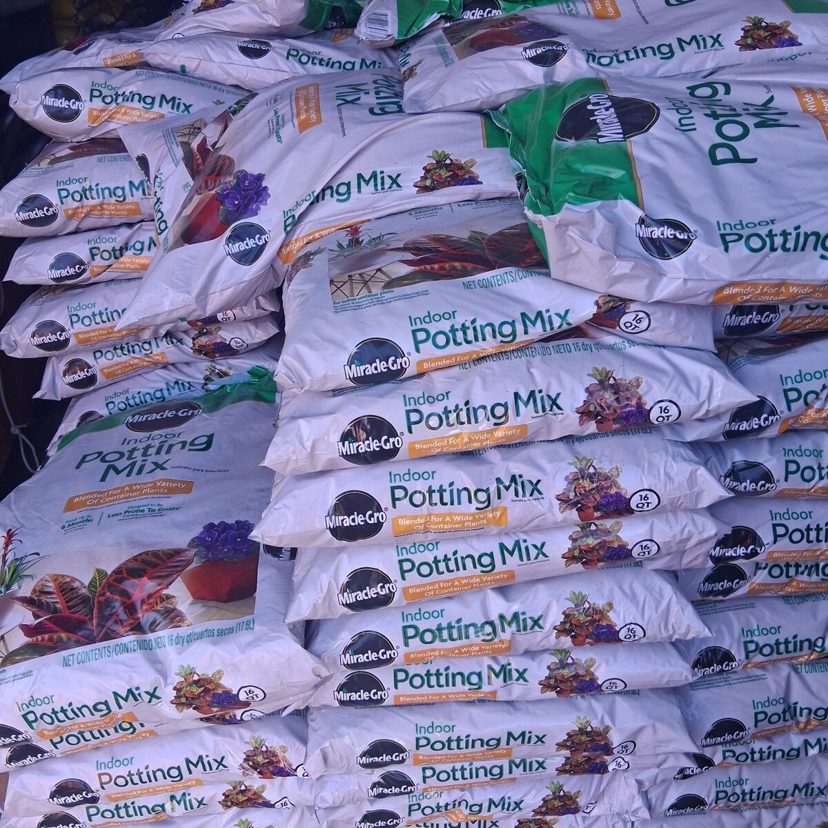 Miracle-gro indoors potting mix