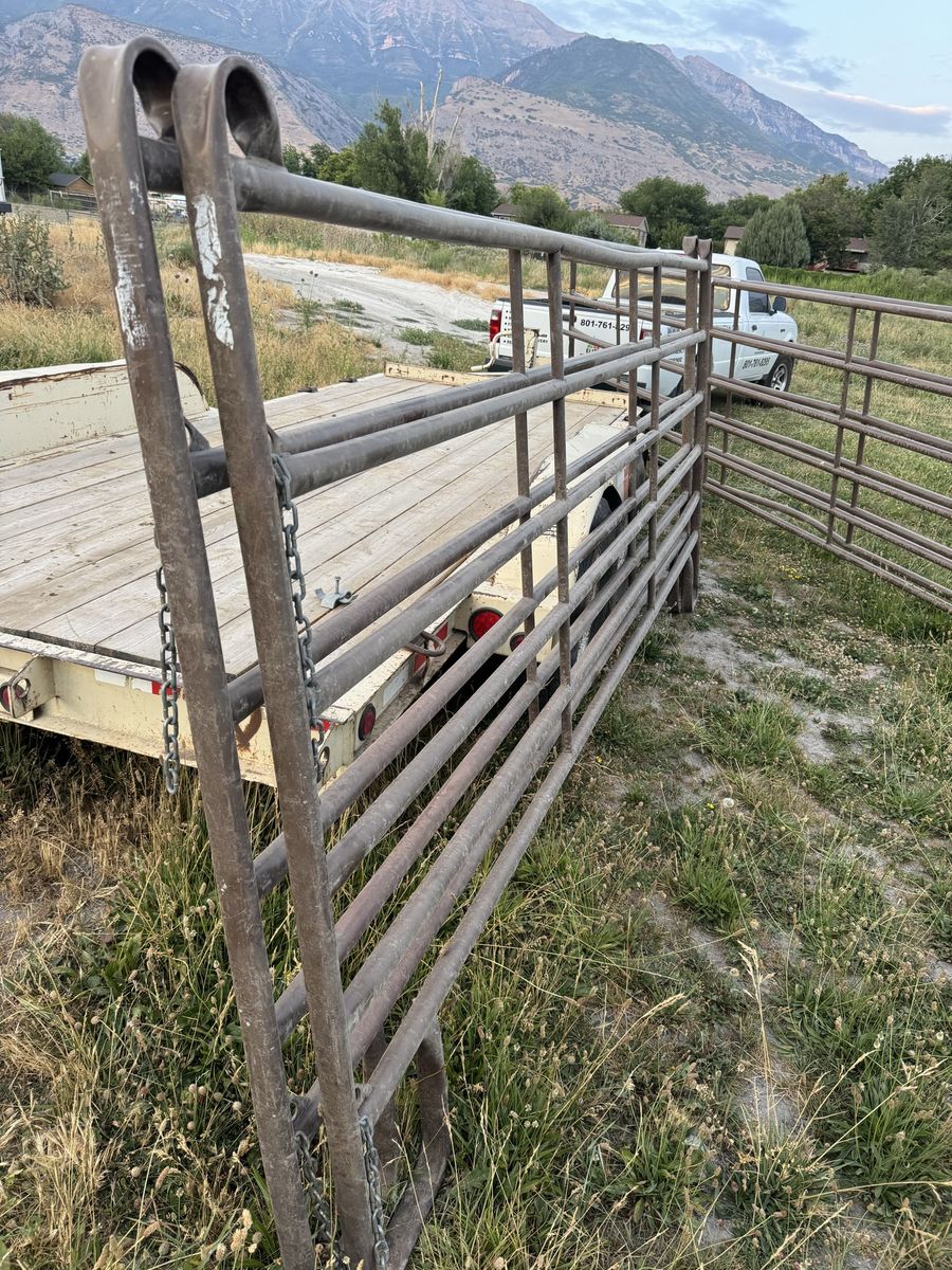 Main image 4