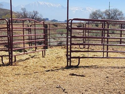 Tarter round pen horse/cattle panels