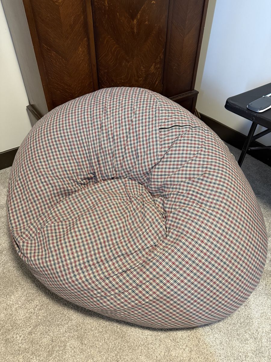 Beanbag insert for sale