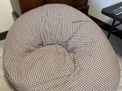 Beanbag insert for sale