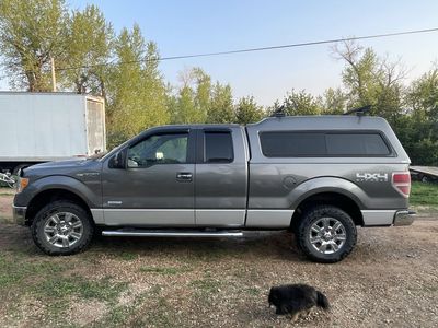 ARE Truck Topper for Ford F-150 (2009-2014) - Gray, with Roof Rack and Side Access