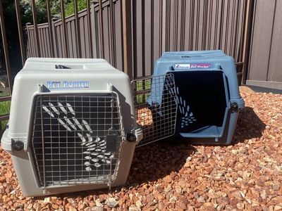 Petmate Pet Porter Dog/Cat Travel Kennels Carriers - Set of 2 (Grey & Blue)