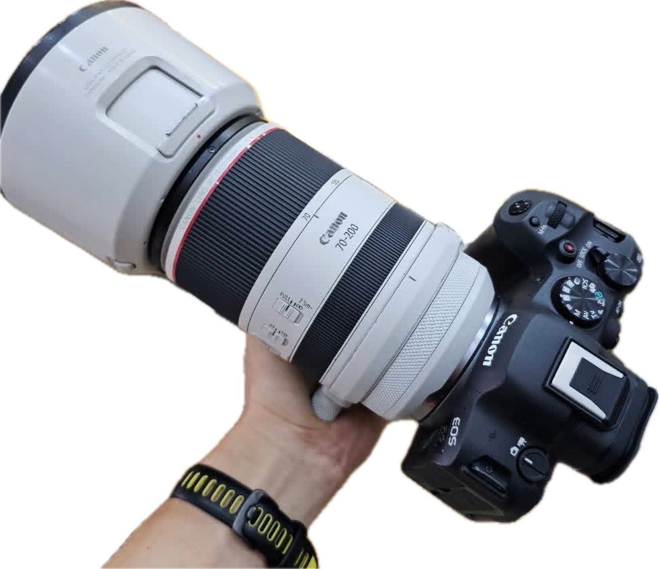 R6 ii, rf70-200 2.8