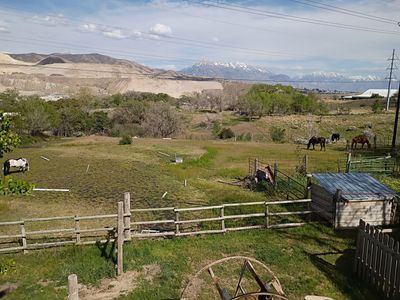 2.5 ACRES HORSE OR CATTLE PASTURE FOR RENT IN BLUFFDALE.........MONTHLY