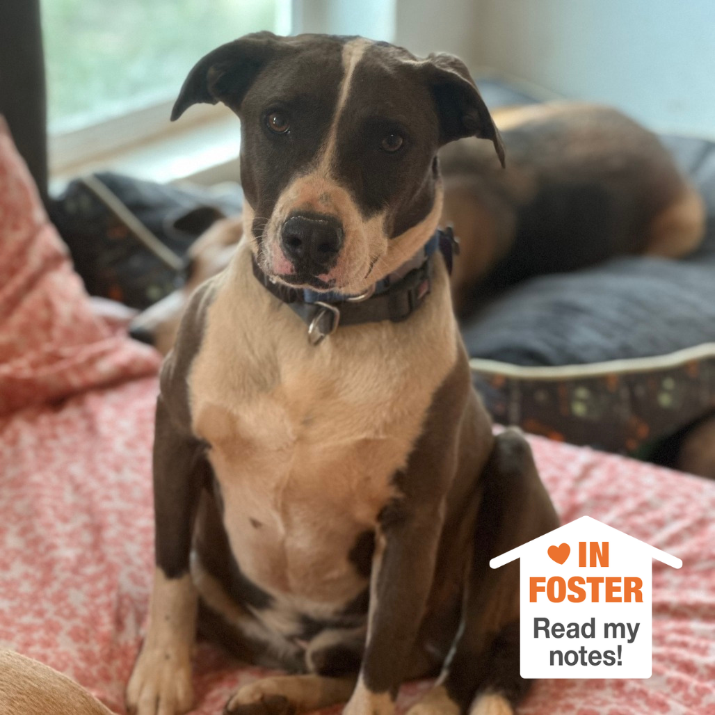 Hello my name is Tyler