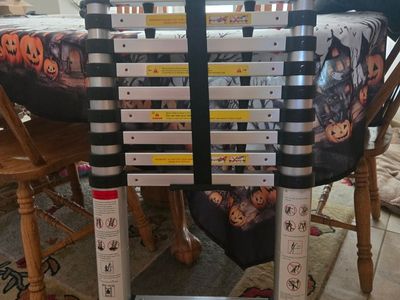 Telescoptic Ladder w/ carrier case