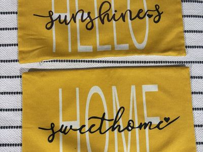 2 Summer Pillow Covers