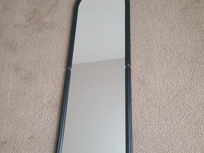 Oval Mirror 50.75X14.75