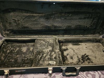 Like new Road Runner guitar case