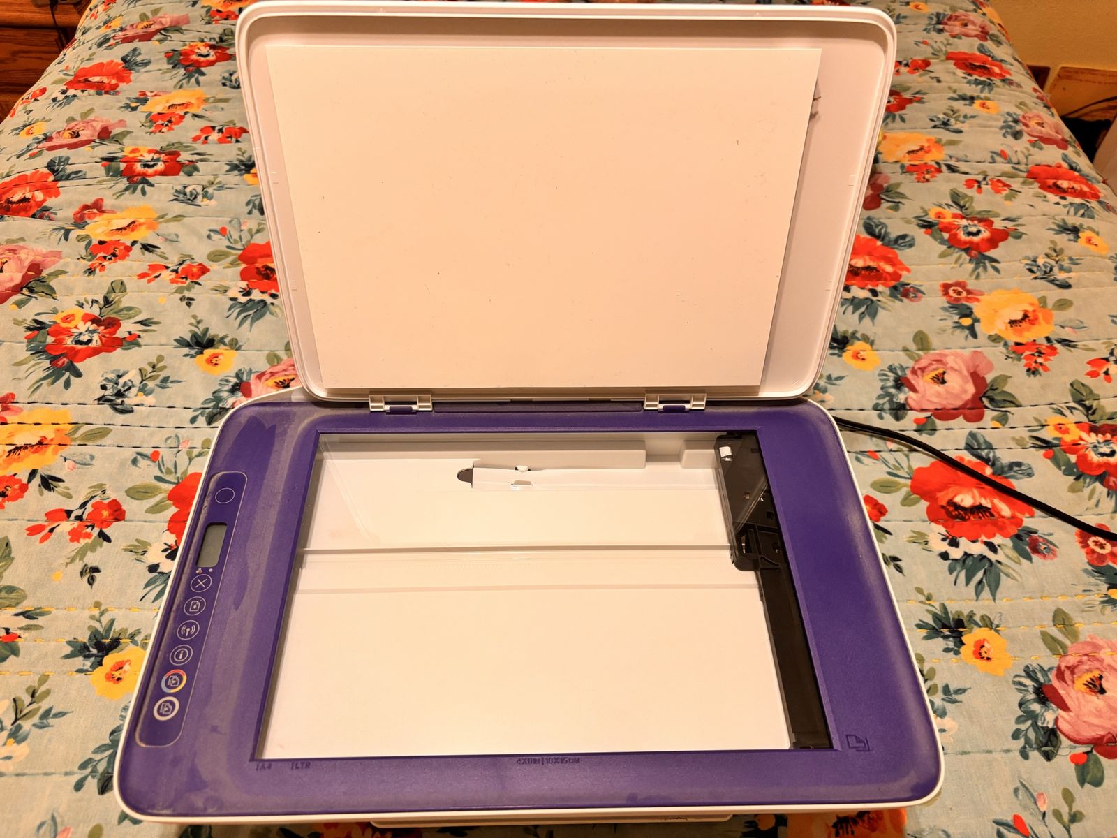 Main image 2