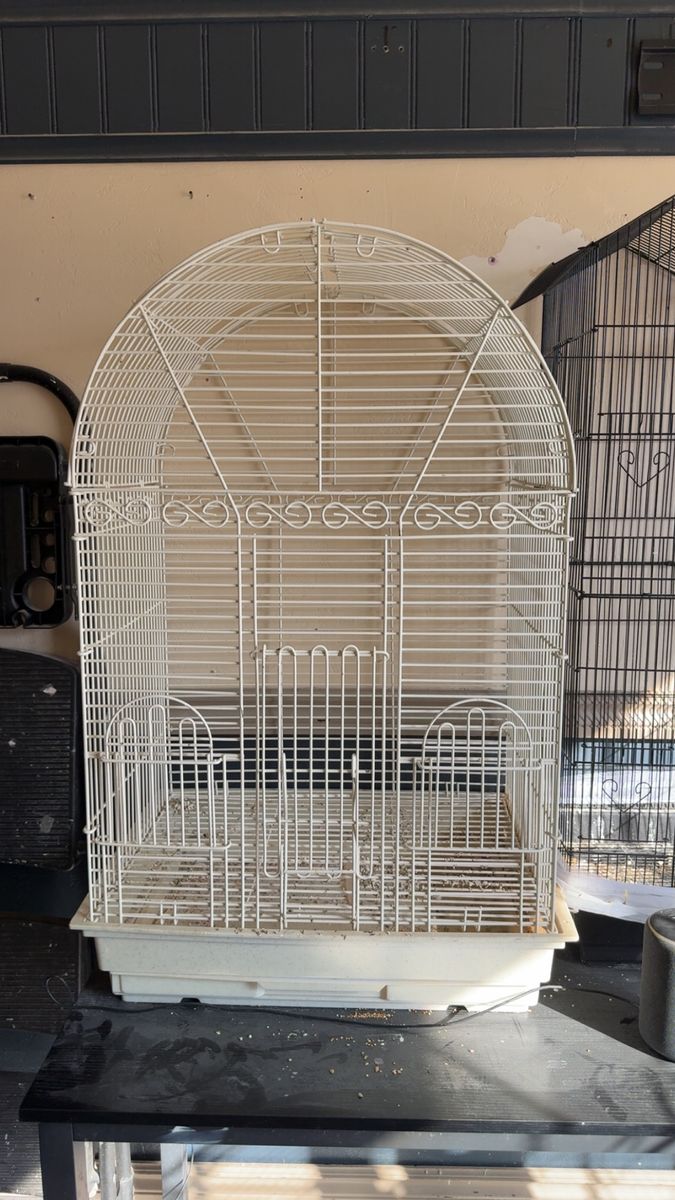 Bird cage