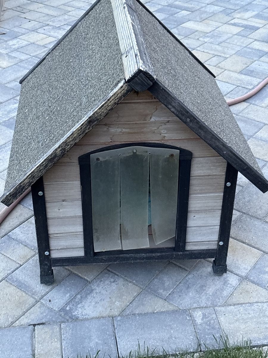 Dog House