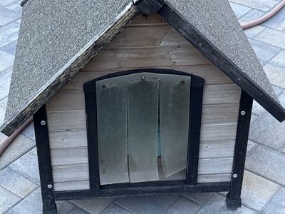 Dog House