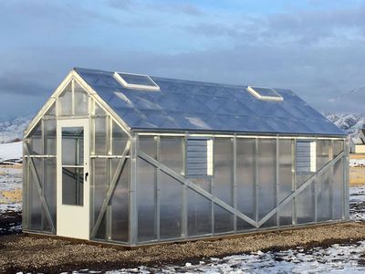 Heavy-Duty 10'x20' Greenhouse by Studmeister Steel