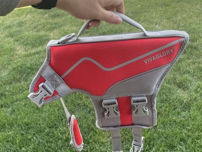 Dog Life Jacket - Small (Red)