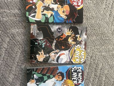 Demon Slayer Vol 1-3