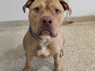 Hello my name is Heezy