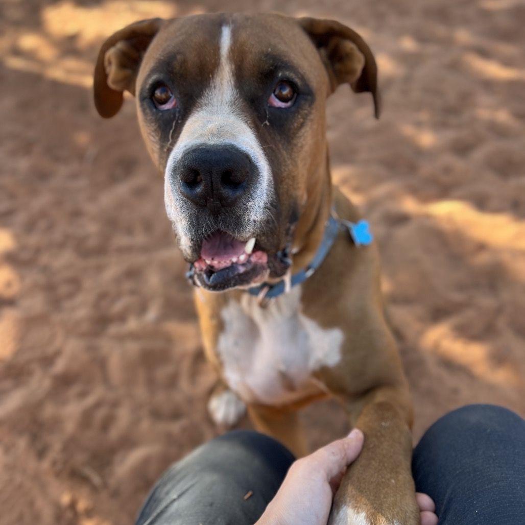 Main image 19
