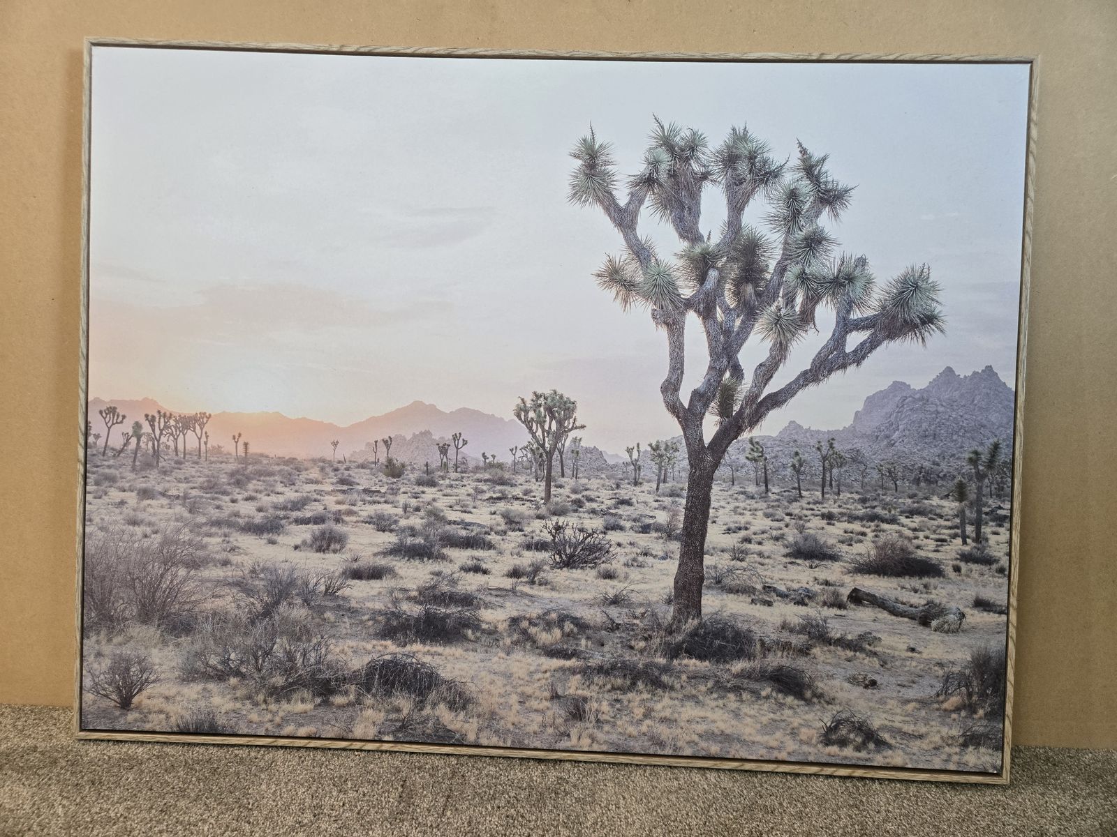 Joshua Tree framed canvas print 41w x 31h