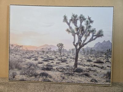 Joshua Tree framed canvas print 41w x 31h