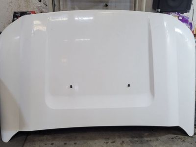 Ford Platinum white 2021-2016 stock hood