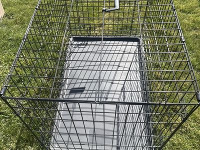 Dog Crate