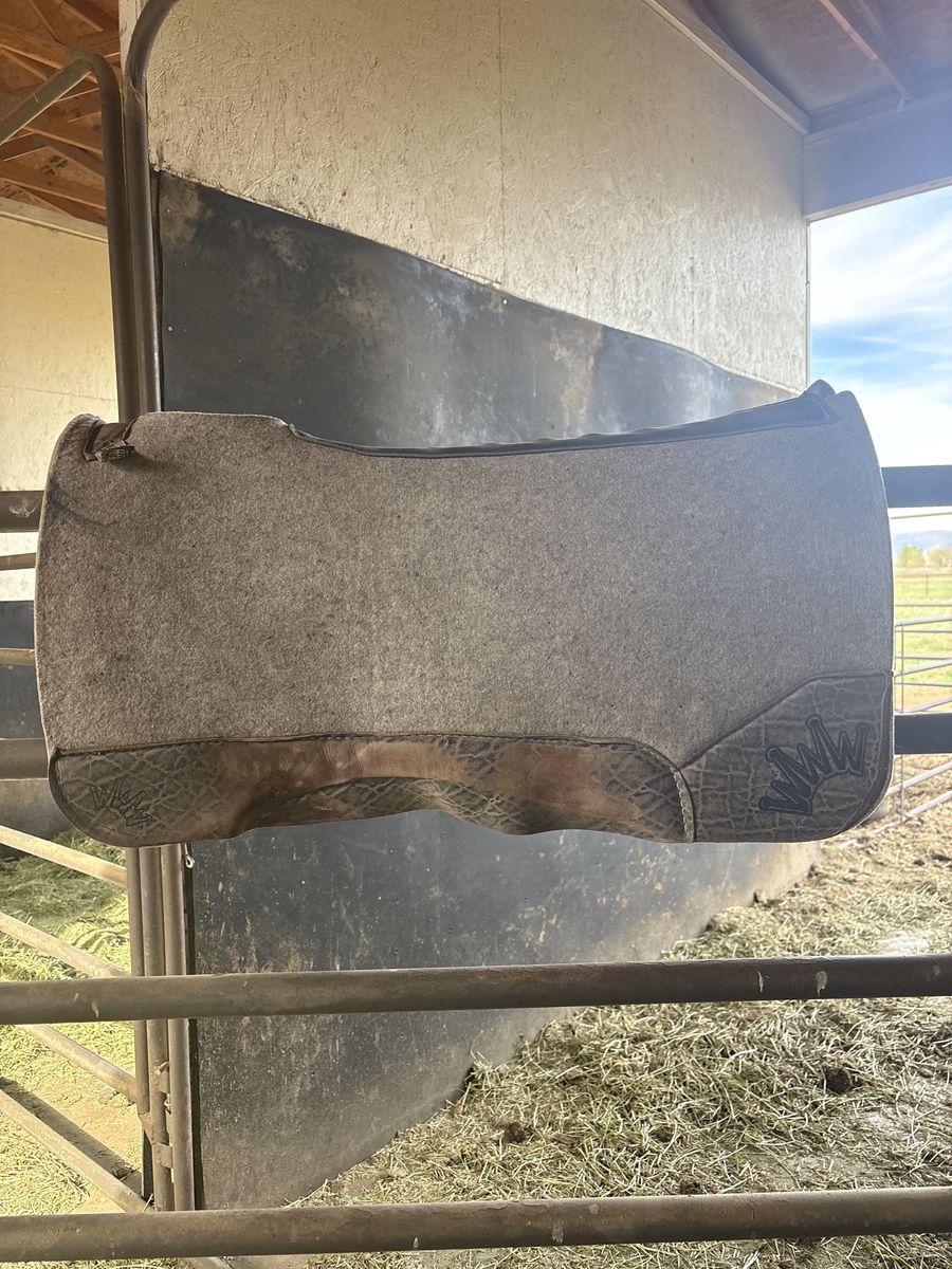 Best Ever Saddle Pad