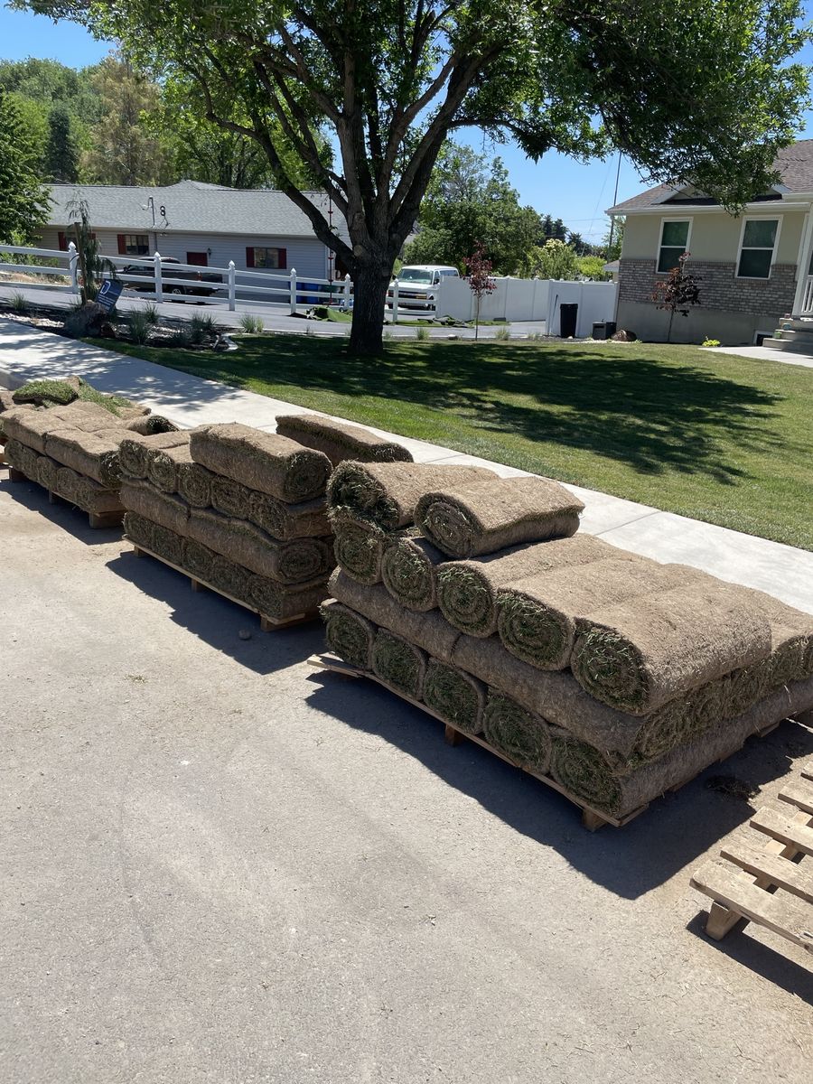 700 sq ft of fresh cut sod