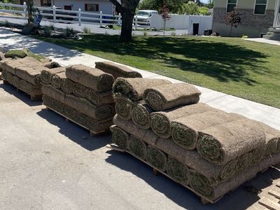 700 sq ft of fresh cut sod