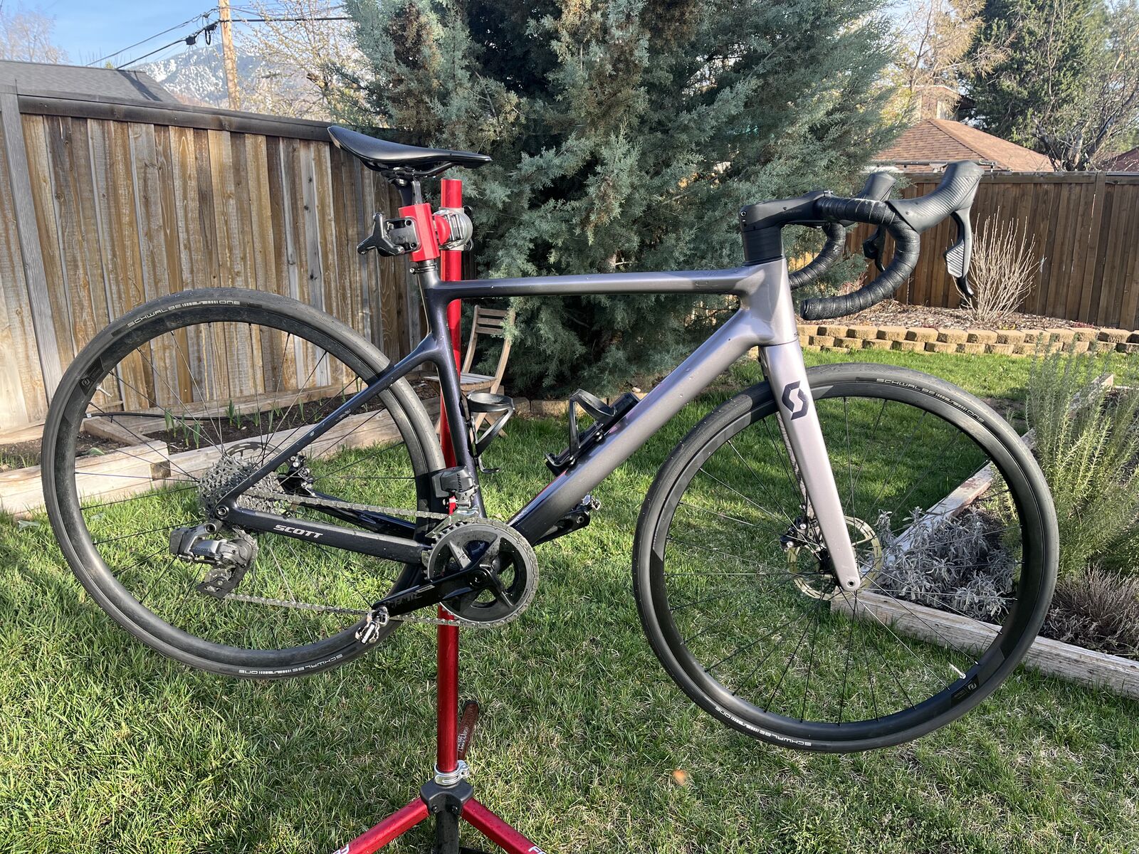 2022 Scott Contessa Addict 15